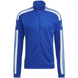 Vêtements Homme Sweats adidas Originals Squadra 21 Bleu