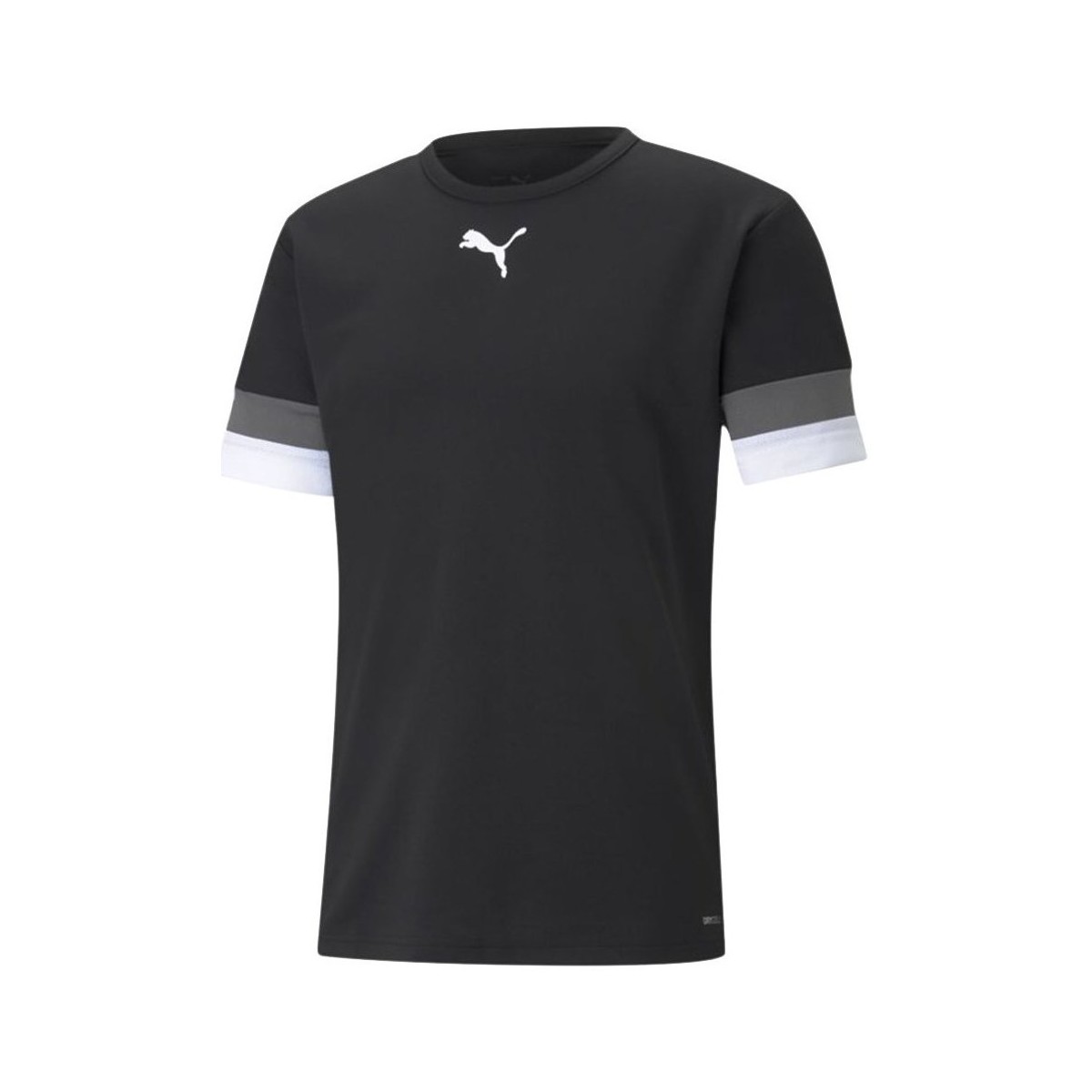 Vêtements Homme T-shirts manches courtes Puma Teamrise Jersey Noir