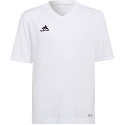 adidas x pharrell williams basics embroidered logo sweatshirt item