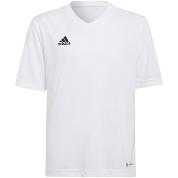 Vêtements Garçon T-shirts manches courtes directory adidas Originals Entrada 22 Jsy Blanc