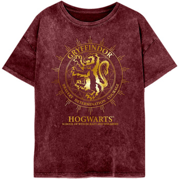 Vêtements Femme T-shirts manches longues Harry Potter  Multicolore