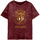 Vêtements Femme T-shirts manches longues Harry Potter Gryffindor Constellation Multicolore