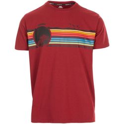Vêtements Homme T-shirts SWEATSHIRT manches longues Trespass  Multicolore