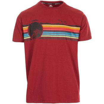 Vêtements Homme T-shirts manches longues Trespass Lakehouse Multicolore