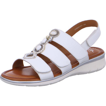 Chaussures Femme Sandales et Nu-pieds Ara 12-23604-07 Blanc