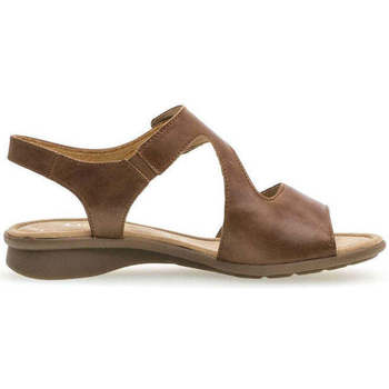 Chaussures Femme Sandales et Nu-pieds Gabor 46.063.54 Marron