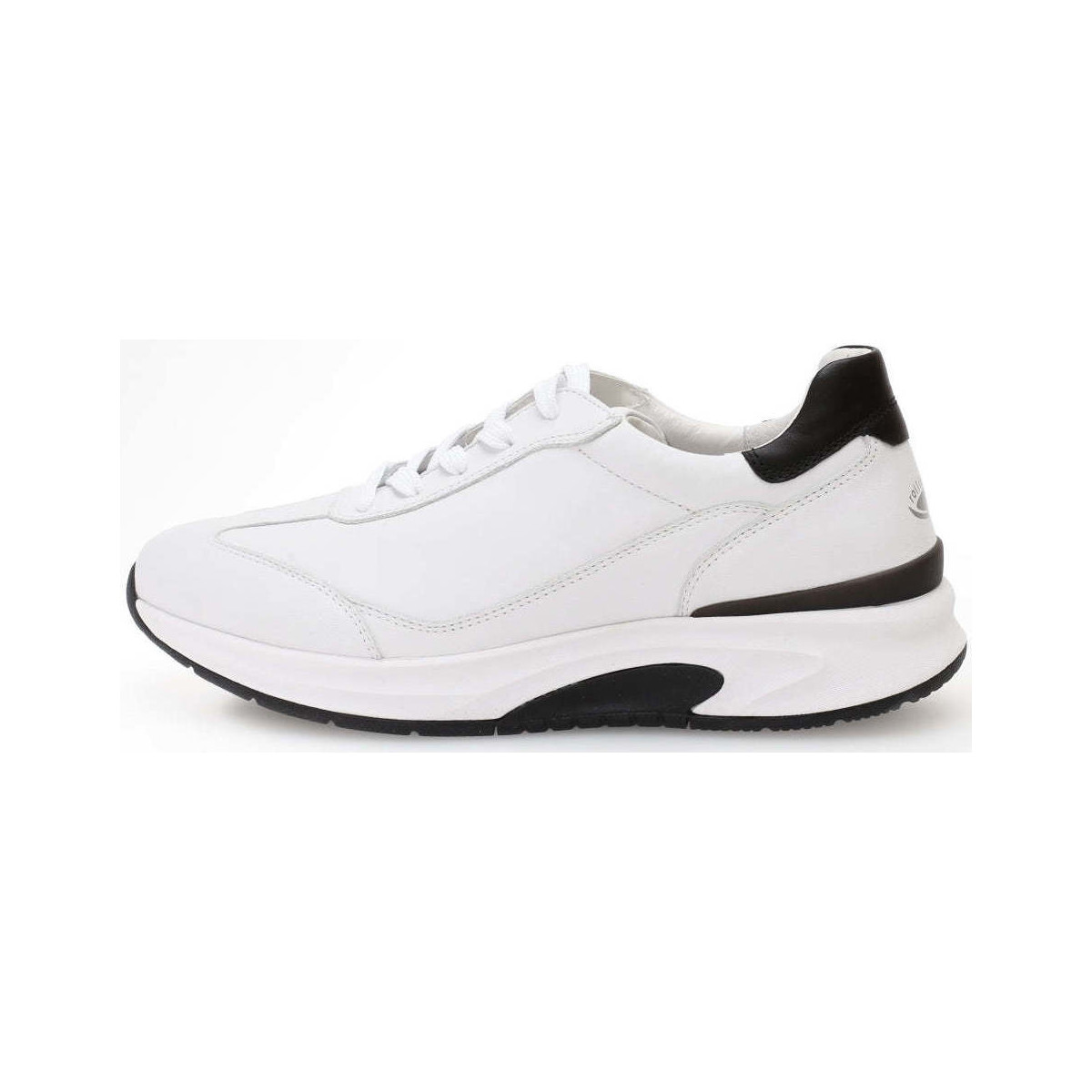 Chaussures Homme Baskets mode Pius Gabor 8001.11.04 Blanc
