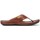 Chaussures Homme Sandales et Nu-pieds Pikolinos Tarifa 06J 0098 Marron