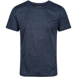 Vêtements Homme T-shirts manches courtes Regatta  Bleu