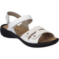 Chaussures Femme Sandales et Nu-pieds Westland Damen-Sandale Ibiza 86, weiss Blanc