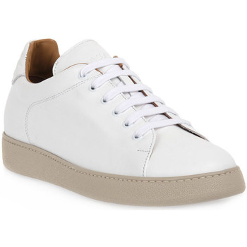 Chaussures Homme Baskets basses Rogal's BIANCO MUR 1 Blanc