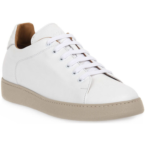 Chaussures Homme Baskets mode Rogal's BIANCO MUR 1 Blanc