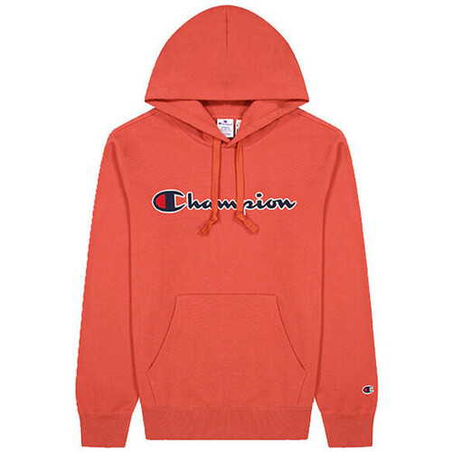 Vêtements Homme Sweats Champion etro blue cotton hoodie Orange
