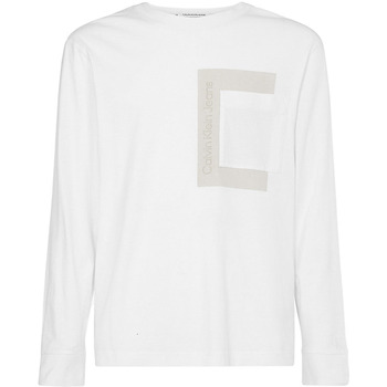 Vêtements Homme T-shirts & Polos Calvin Klein Jeans J30J319722 Blanc