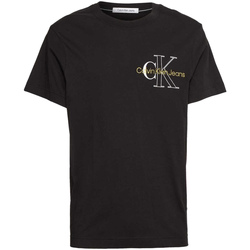 Vêtements Homme T-shirts manches courtes Calvin Klein Jeans J30J320181 Noir