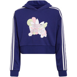 Vêtements Enfant Sweats adidas printable Originals HF7470 Violet