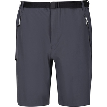 Shorts & Bermudas Regatta- Vêtements Shorts / Bermudas Homme 35 