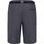 Vêtements Homme Shorts / Bermudas Regatta Xert III Gris