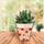 Maison & Déco Vases / caches pots d'intérieur Cadoons Cache Pot en Bambou Fleurs rouges 15.5 cm Beige