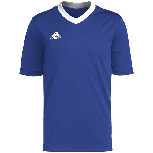 Vêtements Garçon T-shirts manches courtes directory adidas Originals Entrada 22 Bleu