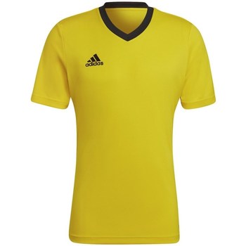 Vêtements Homme T-shirts manches courtes voetbal adidas Originals Entrada 22 Jaune