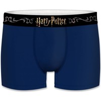 Sous-vêtements Garçon Boxers Harry Potter Boxer Garçon Coton ASS1 Bleu Noir Bleu