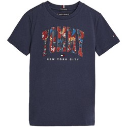 Vêtements Garçon T-shirts manches courtes Tommy Hilfiger  Bleu
