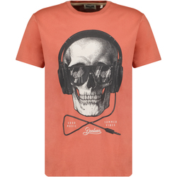 Vêtements Homme T-shirts & Polos Deeluxe T-Shirt HAITI Canyon