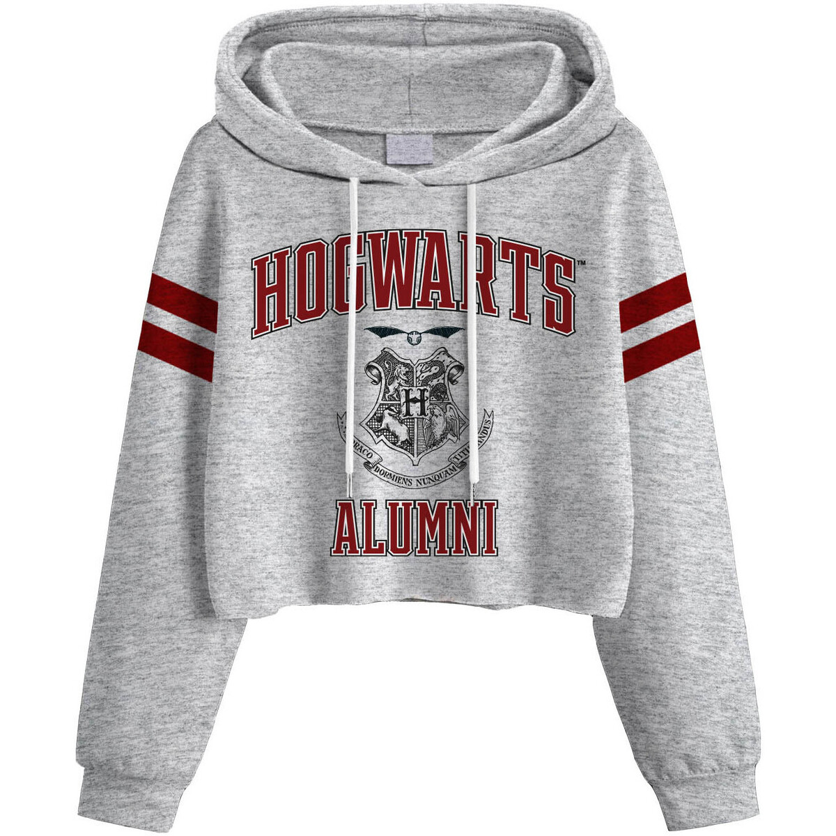 Vêtements Femme Sweats Harry Potter Hogwarts Gris