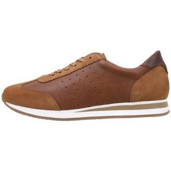 Chaussures Homme Baskets basses Cossimo OCEANIC Marron