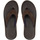 Chaussures Homme Sandales et Nu-pieds Quiksilver Haleiwa Plus Marron