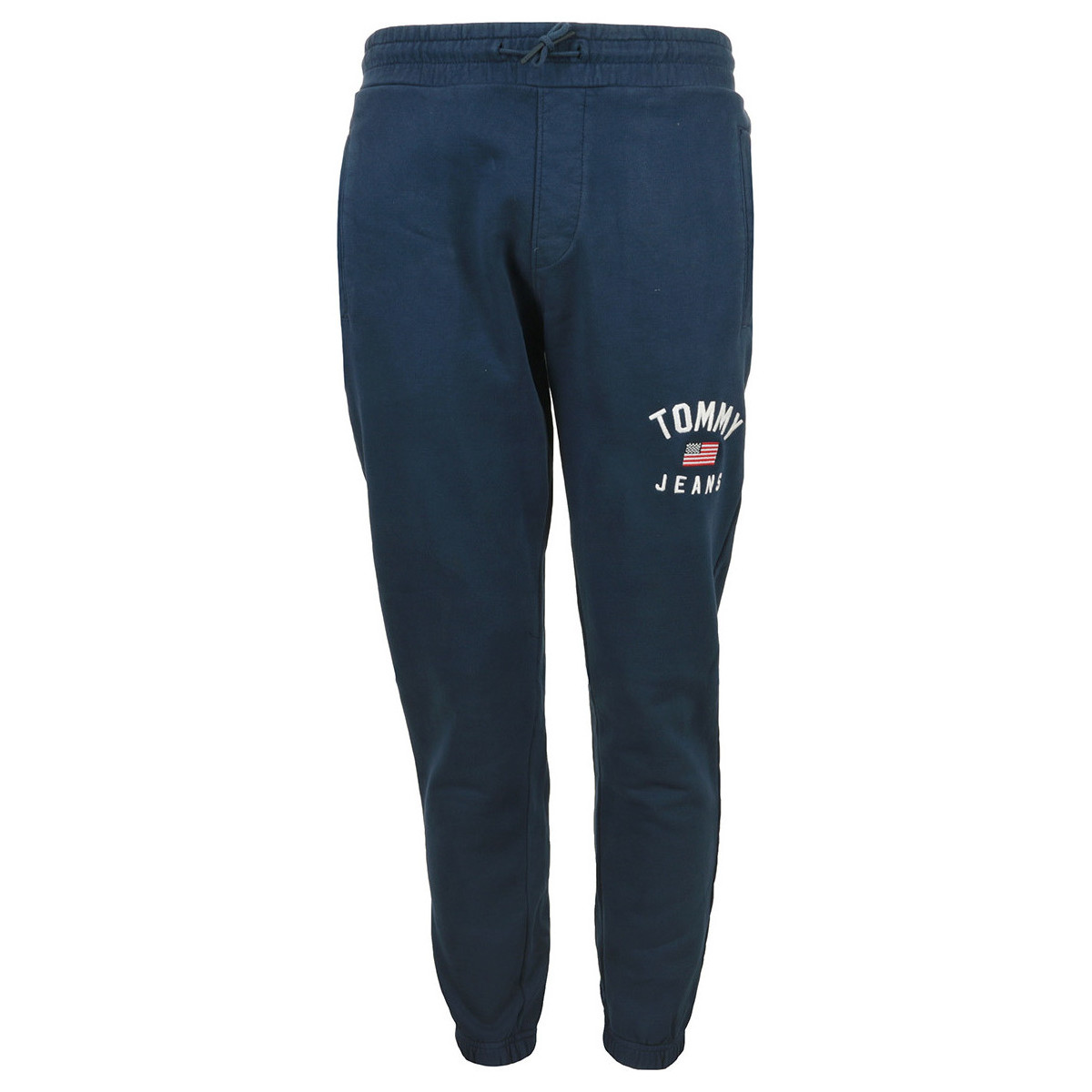 Vêtements Homme Pantalons Tommy Hilfiger Washed Logo Sweatpant Bleu