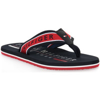 Chaussures Homme Tongs Tommy Hilfiger DW5 MARITIME Noir
