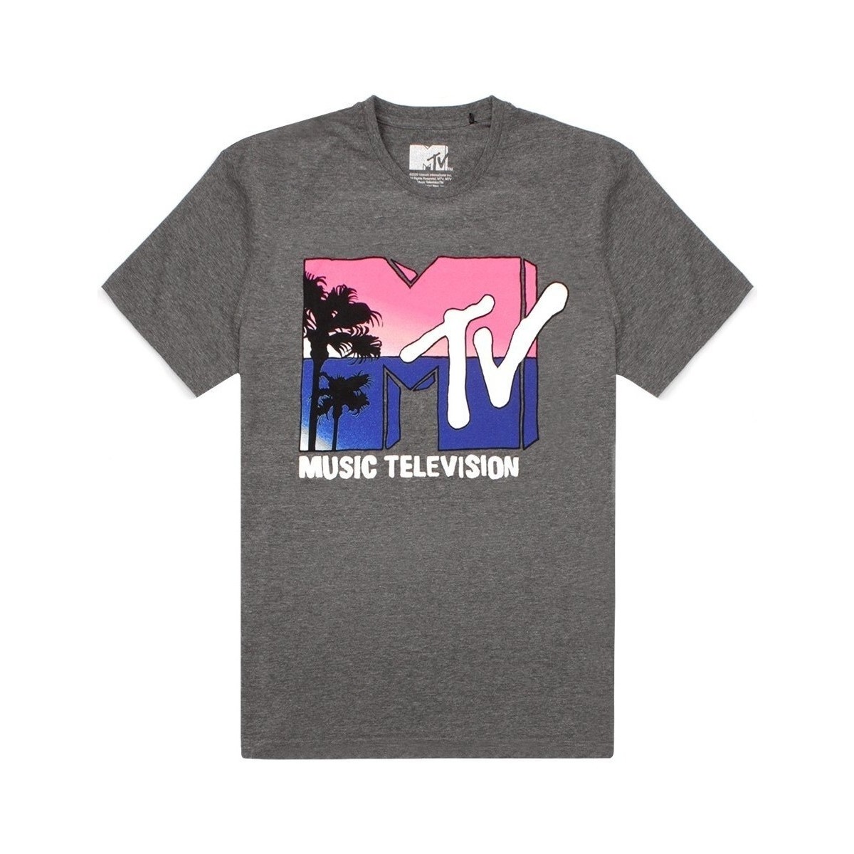 Vêtements Femme T-shirts manches longues Mtv Logo Gris