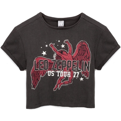 Vêtements Femme T-shirts manches longues Amplified Icarus Tour 77 Gris