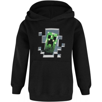 Vêtements Garçon Sweats Minecraft Inside Noir