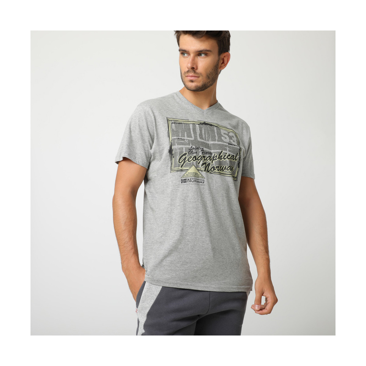 Vêtements Homme T-shirts manches courtes Geographical Norway T-Shirt stripe JAROCIN Gris