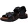 Chaussures Homme Sandales et Nu-pieds Panama Jack SANDERS C14 SANDERS C14 