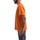 Vêtements Homme T-shirts manches courtes Dickies DK0A4XNYC381 Orange
