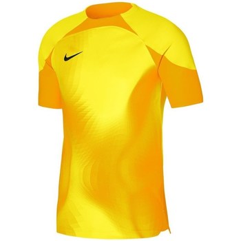 Vêtements Homme T-shirts manches courtes Nike Gardien IV Jaune