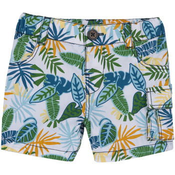 Vêtements Garçon Shorts / Bermudas Chicco 09000528000000 Vert