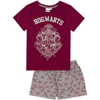 Vêtements Fille Pyjamas / Chemises de nuit Harry Potter  Multicolore