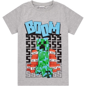 Vêtements Garçon T-shirts manches courtes Minecraft Boom Gris