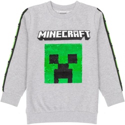 Vêtements Enfant Sweats Minecraft  Gris