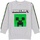 Vêtements Enfant Sweats Minecraft NS6499 Gris