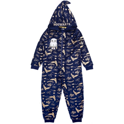 Vêtements Enfant Pyjamas / Chemises de nuit Harry Potter NS6594 Bleu
