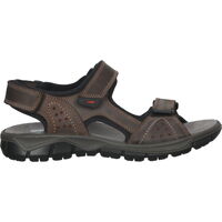 Chaussures Homme Sandales sport Bama Chaussures de randonnées Marron