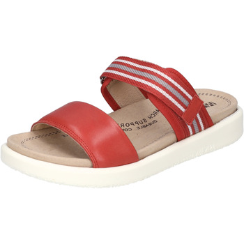 Chaussures Femme Damen-sandale Ibiza 66, Rot Westland Damen-Sandale Albi 04, rot-kombi Rouge