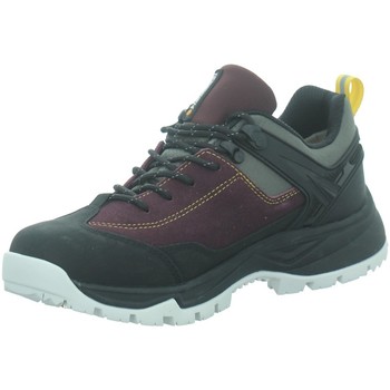 Chaussures Femme Fitness / Training Icepeak  Rouge
