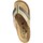 Chaussures Homme Tongs Plakton Billy Beige